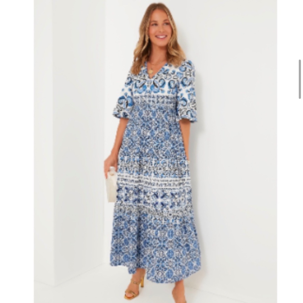 Tuckernuck Blue and White Printed Maxi Dress